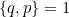 Rendered by QuickLaTeX.com \{q,p\} = 1