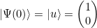 \ket{\Psi(0)} = \ket{u} = \begin{pmatrix} 1 \\ 0\end{pmatrix}