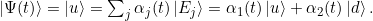 \ket{\Psi(t)} = \ket{u} = \sum_j \alpha_j(t)\ket{E_j} = \alpha_1(t) \ket{u} + \alpha_2(t) \ket{d}.