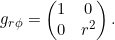\[g_{r\phi} = \begin{pmatrix}1&0\\0&r^2\end{pmatrix}.\]